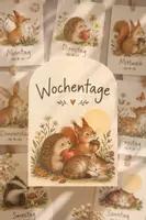Vorschau - Fördermaterial/Inklusion - Wochentage lernen – 7 Bildkarten mit Waldtieren für Kindergarten & Grundschule - Deckblatt