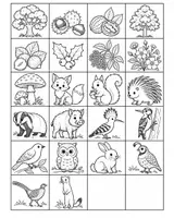 anteprima - Esercizi - 🌳 Flora e fauna della collina 🦊 - Pagina 1