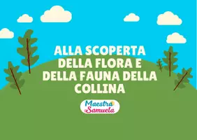 anteprima - Esercizi - 🌳 Flora e fauna della collina 🦊 - Pagina 2