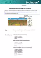 Vorschau - Arbeitsblätter - Natürliche Selektion mit Computer-Simulation erarbeiten (Kaninchen) - Seite 1