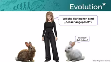 Vorschau - Arbeitsblätter - Natürliche Selektion mit Computer-Simulation erarbeiten (Kaninchen) - Seite 3