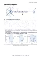 Vorschau - Klassenarbeiten - Neurobiologie-Klausur GK Q1 (135 min): Na⁺/K⁺-Pumpe, Kokain & Opioide - Seite 2