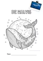Voorbeeld - Kleurplaten zeedieren met voorbeeldfoto's - Pagina 1