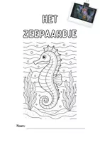 Voorbeeld - Kleurplaten zeedieren met voorbeeldfoto's - Pagina 2