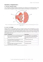 Vorschau - Arbeitsblätter - Klausuren Biologie Sek II (Q1, Q2) – Stoffwechsel, Neurobiologie, Ökologie, Photosynthese, Genetik - Seite 2