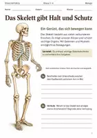 Vorschau - Arbeitsblätter - Biologie und Physik: 30 Arbeitshefte Klasse 5–6 - Seite 1