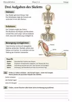 Vorschau - Arbeitsblätter - Biologie und Physik: 30 Arbeitshefte Klasse 5–6 - Seite 2