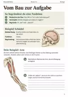 Vorschau - Arbeitsblätter - Biologie und Physik: 30 Arbeitshefte Klasse 5–6 - Seite 3