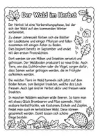 Vorschau - Arbeitsblätter - Der Wald im Herbst | Lesetext & Arbeitsblätter | Leseverständnis | Sachunterricht | Klasse 3–5 - Deckblatt