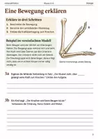 Vorschau - Arbeitsblätter - Muskeln Arbeitsheft Klasse 5–6 Gegenspieler - Seite 2