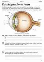 Vorschau - Arbeitsblätter - Das Auge Arbeitsheft Sehen Klasse 5–6 - Seite 3