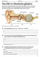 Vorschau - Arbeitsblätter - Das Ohr Arbeitsheft Hören Klasse 5–6 - Seite 3