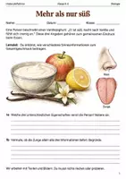 Vorschau - Arbeitsblätter - Riechen und Schmecken Arbeitsheft Klasse 5–6 - Deckblatt