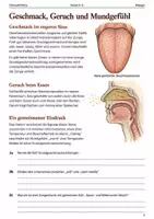 Vorschau - Arbeitsblätter - Riechen und Schmecken Arbeitsheft Klasse 5–6 - Seite 1