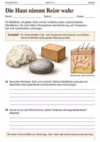 Vorschau - Arbeitsblätter - Die Haut Reize wahrnehmen Klasse 5–6 - Deckblatt