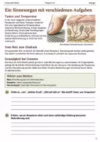 Vorschau - Arbeitsblätter - Die Haut Reize wahrnehmen Klasse 5–6 - Seite 1