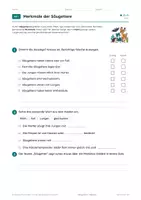 Vorschau - Arbeitsblätter - Säugetiere – Merkmale und Beispiele, Arbeitsheft, Klasse 6 - Seite 3