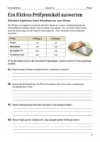 Vorschau - Arbeitsblätter - Leiter und Isolatoren Arbeitsheft Klasse 5–6 - Seite 3