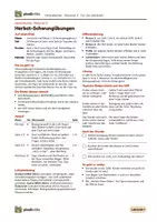Vorschau - Arbeitsblätter - Herbst-Schwungübungen | 6 Seiten Schreibmotorik mit Herbst-Figuren: Striche, Bögen, Girlanden, Wellen, Zacken, Schleifen | Vorschule, Klasse 1 | Lineatur Klasse 1 - Seite 2