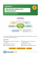 Vorschau - Stundenentwürfe - Fotosynthese Schaubild Klasse 7 8 (Std 9) - Deckblatt