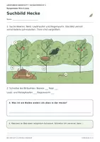 Vorschau - Arbeitsblätter - Wer lebt wo? Wiese, Hecke und Teich Klasse 3 - Seite 3