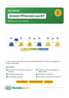 Vorschau - Stundenentwürfe - Fotosynthese Zellatmung Klasse 7 8 (Std 6) - Deckblatt