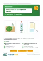 Vorschau - Stundenentwürfe - Fotosynthese Licht Klasse 7 8 (Std 5) - Deckblatt