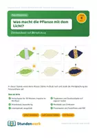 Vorschau - Stundenentwürfe - Fotosynthese Stärke Klasse 7 8 (Std 4) - Deckblatt