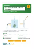 Vorschau - Stundenentwürfe - Fotosynthese Sauerstoff Klasse 7 8 (Std 3) - Deckblatt
