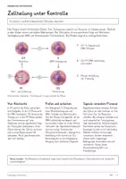 Vorschau - Unterrichtsreihen - Krebsbiologie & Prävention – Biologie-Gesamtpaket | Komplette, differenzierte Unterrichtseinheit: Zellzyklus, Tumore, Metastasen - Seite 3
