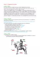 Aperçu - Préparation de séance / Séance complète - 5e équipement chevalier - Page 2