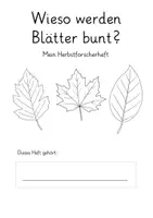 Vorschau - Arbeitsblätter - Wieso werden Blätter bunt? - Herbst-Forscherheft - Seite 1