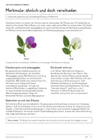 Vorschau - Unterrichtsreihen - Genetik & Vererbung – Biologie-Gesamtpaket | Komplette, differenzierte Unterrichtseinheit: DNA, Mendelsche Regeln, Kreuzungsschemata - Seite 3