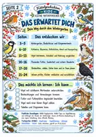 Vorschau - Stundenentwürfe - Vögel im Winter - entdecken, bestimmen & beobachten | Sachunterricht Klasse 3-4 - Seite 1