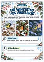 Vorschau - Stundenentwürfe - Vögel im Winter - entdecken, bestimmen & beobachten | Sachunterricht Klasse 3-4 - Seite 3