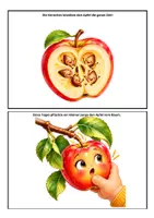 Vorschau - Bildkarten - Apfel – Bildergeschichte für Kita & Kindergarten - Seite 2