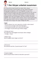 Vorschau - Arbeitsblätter - Kostenlos: Lesetraining Der Körper – Leseverständnis Klasse 3 - Seite 1