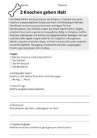 Vorschau - Arbeitsblätter - Kostenlos: Lesetraining Der Körper – Leseverständnis Klasse 3 - Seite 2
