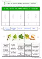 Aperçu - Préparation de séance / Séance complète - Sujet d'étude sur la feuille Monpetitcoindief - Page 3