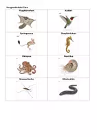 Vorschau - Spiele - Tiere in Bewegung – Kostenloses Lernspiel - Seite 3