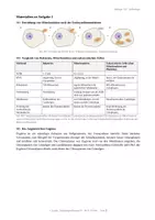 Vorschau - Klassenarbeiten - Klausur Zellbiologie Einführungsphase – Pflanzenzelle, Endosymbiontentheorie, Mitose & Taxol | mit Erwartungshorizont - Seite 3
