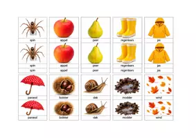Voorbeeld - Montessori classificatiekaarten herfst - Voorblad
