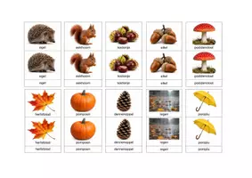 Voorbeeld - Montessori classificatiekaarten herfst - Pagina 1