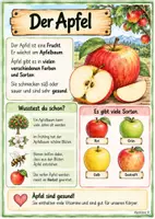 Vorschau - Arbeitsblätter - Der Apfel - Seite 2