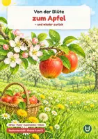Vorschau - Arbeitsblätter - Lebenszyklen Bundle: Sachunterricht Klasse 1/2 - Seite 1