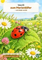 Vorschau - Arbeitsblätter - Vom Ei zum Marienkäfer – und wieder zurück: Sachunterricht Klasse 1/2 - Deckblatt