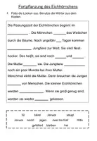Vorschau - Arbeitsblätter - Das Eichhörnchen: Fortpflanzung (Lesekartei, Lückentext, Sachtext) - Seite 3