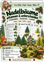 Vorschau - Arbeitsblätter - Nadelbäume erkennen & unterscheiden: Fichte, Tanne, Kiefer und Lärche | Steckbriefe, Lesetext und Arbeitsblätter - Deckblatt