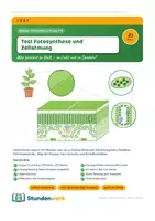Vorschau - Fördermaterial/Inklusion - Zellatmung Test Biologie Klasse 7 8 - Deckblatt