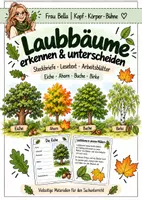 Vorschau - Arbeitsblätter - Laubbäume erkennen & unterscheiden | Steckbriefe, Lesetexte & Arbeitsblätter | Sachunterricht | Klasse 3–4 - Deckblatt